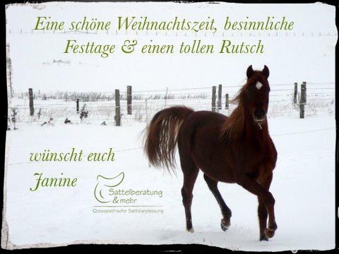 * Winterpause vom 18.12.21 bis 09.01.22 *